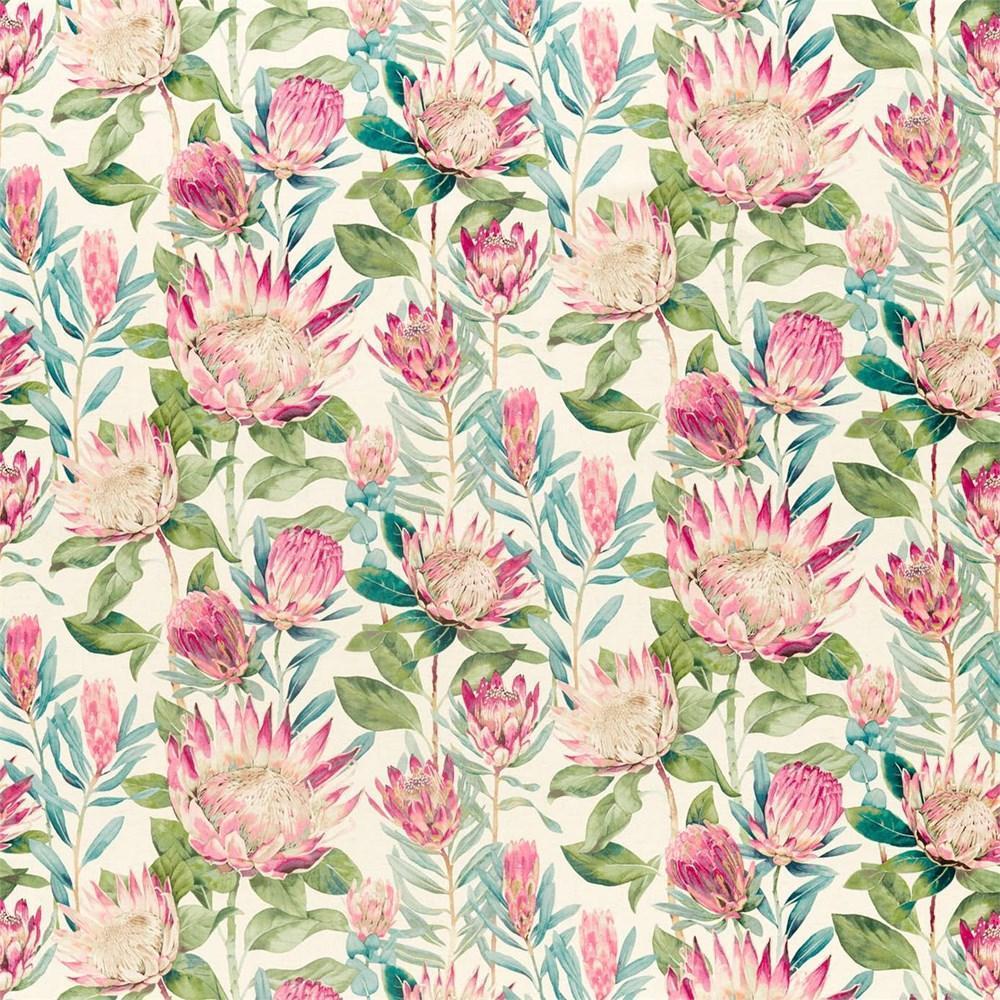 Rhodera - King Protea By Sanderson || In Stitches Soft Furnishings Rhodera - King Protea By Sanderson || In Stitches Soft Furnishings