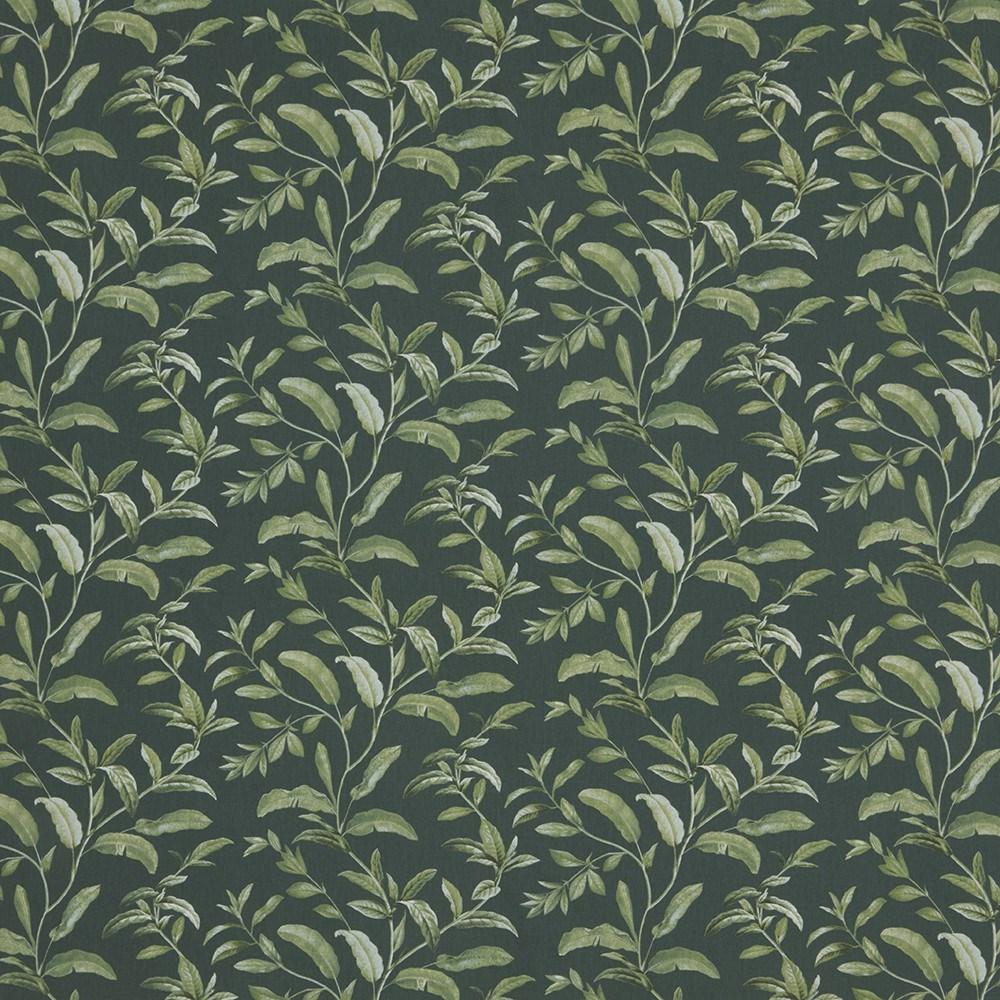 Pine - Oasis By ILIV || In Stitches Soft Furnishings Pine - Oasis By ILIV || In Stitches Soft Furnishings