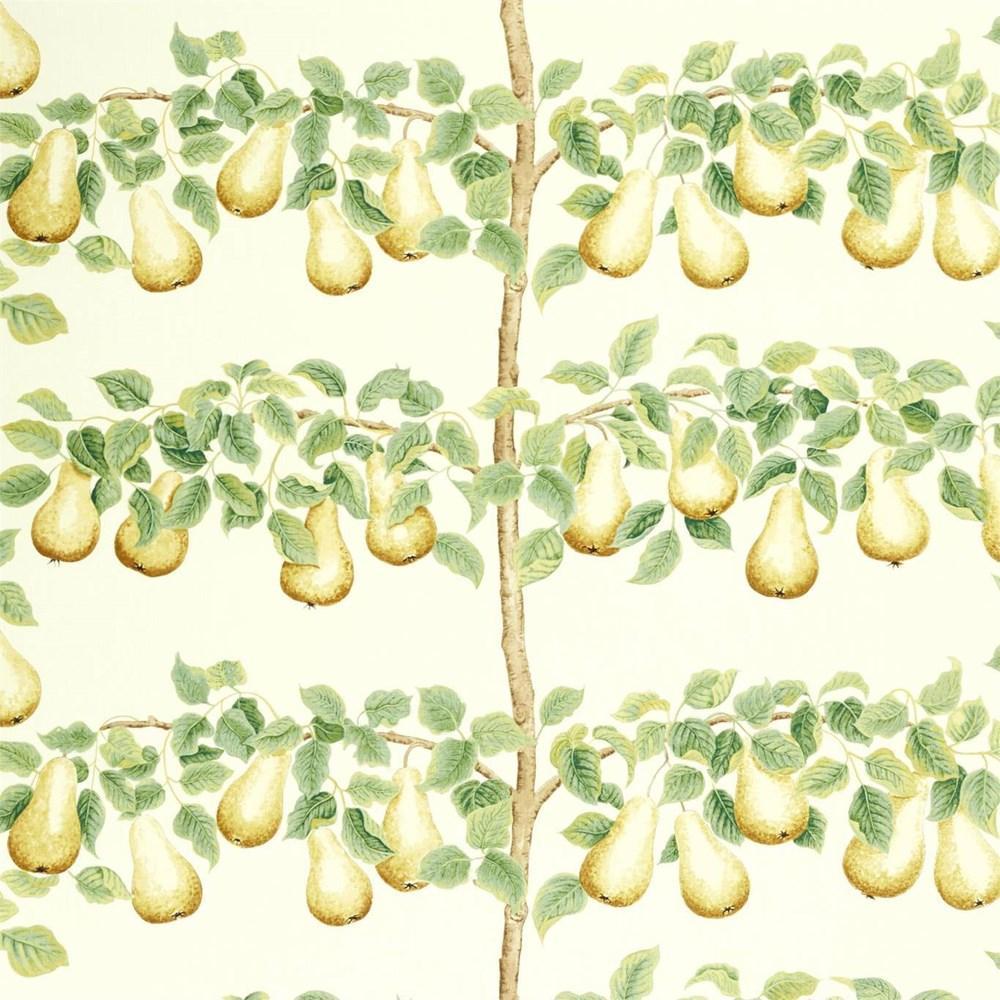 Ochre/Leaf Green - Perry Pears By Sanderson || In Stitches Soft Furnishings