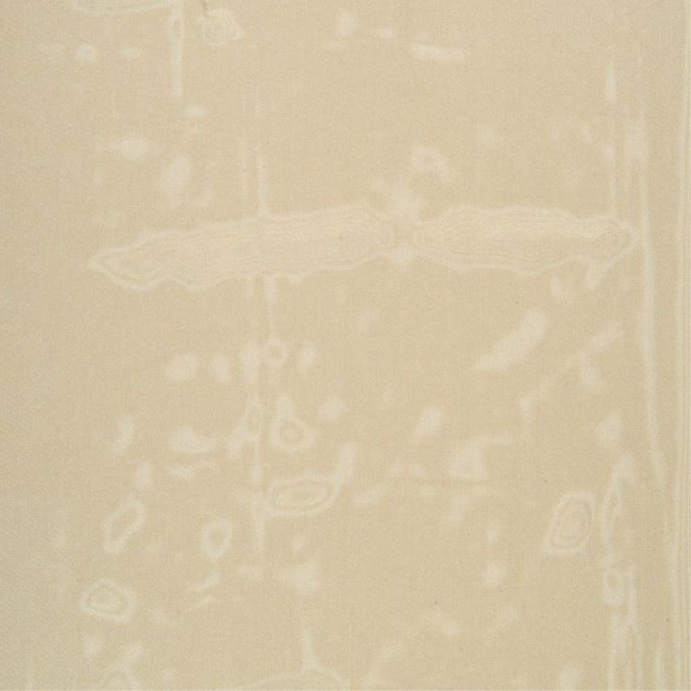 Sponge - Silken By Zepel || In Stitches Soft Furnishings